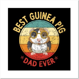 Best Guinea Pig Dad Ever Shirt Funny Guinea Pig Daddy Father Posters and Art